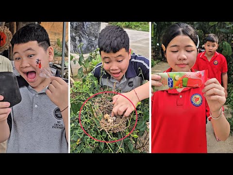 Video Ngắn: Giải cứu chú chó nhỏ thumbnail