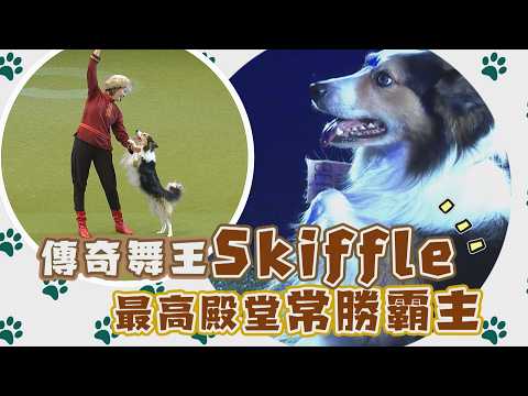傳奇舞王Skiffle 最高殿堂常勝霸主/愛爾達電視20260527 thumbnail