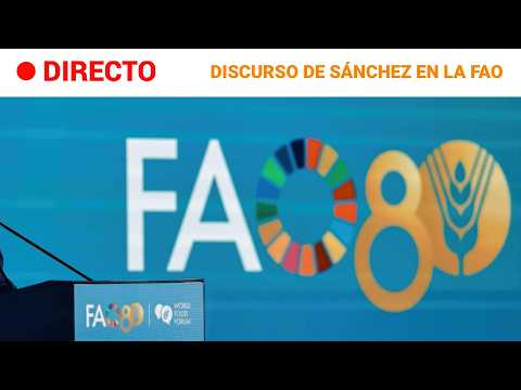 DIRECTO | Pedro SÁNCHEZ en  la FAO, ORGANIZACIÓN para ALIMENTACIÓN y AGRICULTURA | RTVE Noticias thumbnail