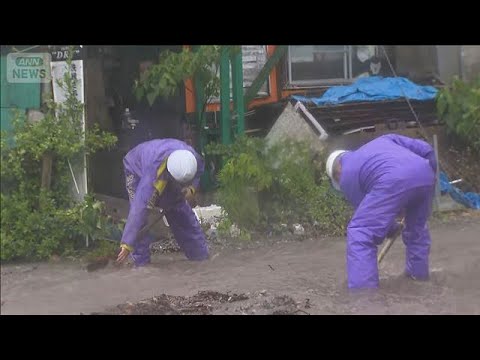 【台風6号】相次ぐ線状降水帯の発生　関東は夕方まで警戒(2026年6月3日) thumbnail
