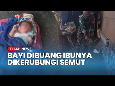 Bayi Laki-laki Ditemukan Terlantar dan Dikerubungi Semut di Tanjung Priok thumbnail