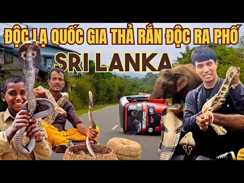 ỚN LẠNH "MÃNG XÀ"  Ở THỦ ĐÔ COLOMBO TÍCH LAN - DU LỊCH ẨM THỰC SRI LANKA thumbnail