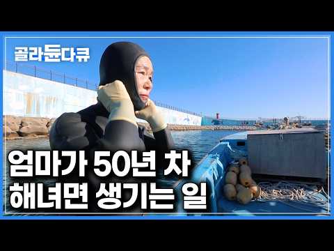 엄마가 잡아도 너무 잘잡는다 베테랑 해녀 엄마가 잡아온 해산물이 몽땅 자녀의 식당에 들어간다.｜한국기행｜#골라듄다큐 thumbnail