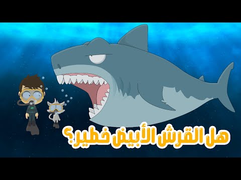 هل القرش الأبيض الكبير خطر عن الانسان؟ | معلومات عن القرش للأطفال - كيف ماذا ولماذا (الحلقة 3) thumbnail