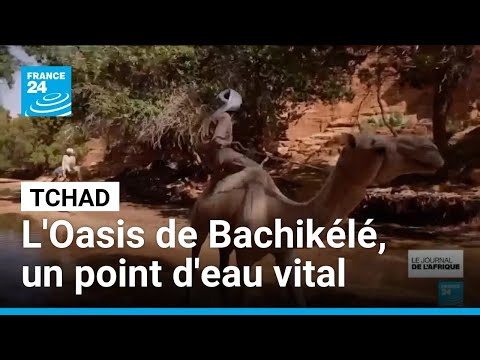 Tchad : l'Oasis de Bachikélé, un point d'eau vital et préservé pour les nomades du Sahara thumbnail