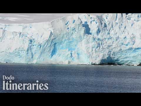 Witnessing a Major Glacier Collapse in Antarctica | The Dodo thumbnail