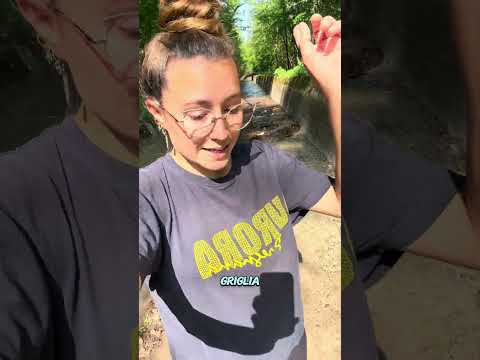 ARRIVA l’acqua nel canale!!? thumbnail