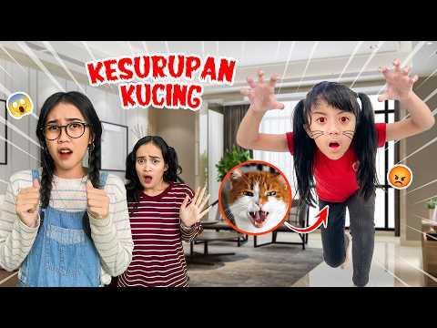GAWAT ‼️ SAMANTHA KESURUPAN KUCING BIKIN OM BLANGKON PANIK ? thumbnail