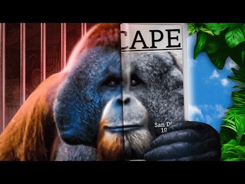 The Ape That Couldn’t Be Contained thumbnail