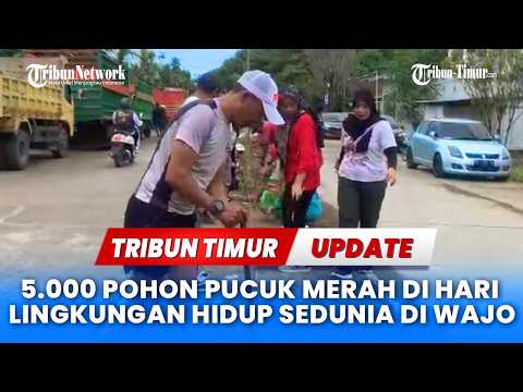 🔴Tanam Pohon Pucuk Merah di Jalur Dua Sengkang, Gandeng DLH dan Pemerintah Kecamatan Tempe thumbnail