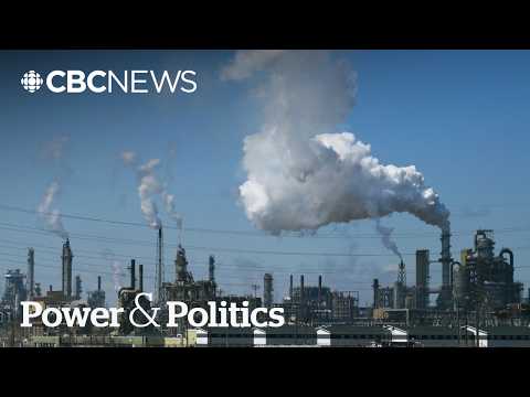 What is going on with the Canadian economy? | Power & Politics thumbnail