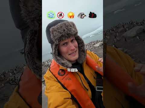 Ошибка за 20,000$? thumbnail