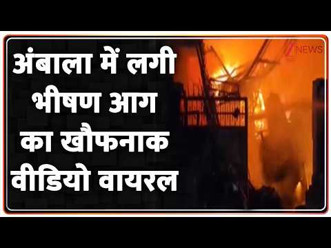 Breaking News: अंबाला में लगी भीषण आग का खौफनाक वीडियो वायरल thumbnail
