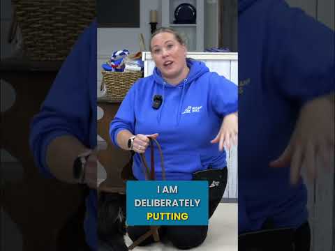 When you say THIS.... I Know You Are Missing The Point Of Dog Training. thumbnail