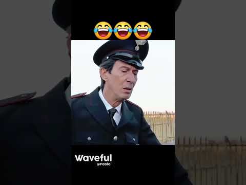 questa e troppo bella buona giornata a tutti da top pagina e madison avellino pizzeria e ristorante thumbnail