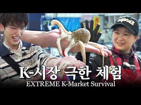Japanese Idol Visits Seoul Fish Market for the First Time | &TEAM HARUA thumbnail