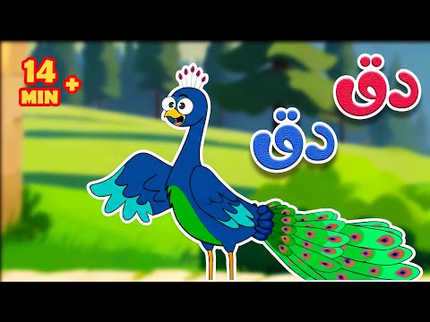 الطيور والضفادع والسناجب | أغاني ثعلوب الممتعة للأطفال thumbnail