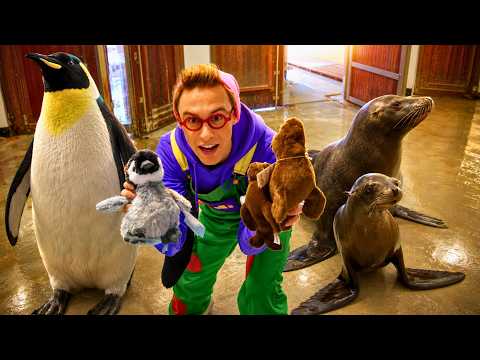 Meet the Coolest Ocean Animals Kids Love Instantly | Kidbli  | Full Episode 02 thumbnail