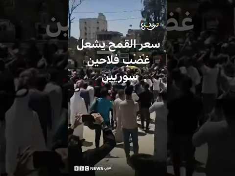 سعر القمح يشعل غضب فلاحين سوريين thumbnail