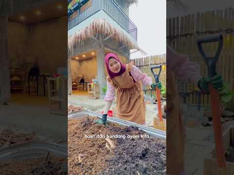 POV BONGKAR KEBUN ULANG DARI NOL LAGI thumbnail