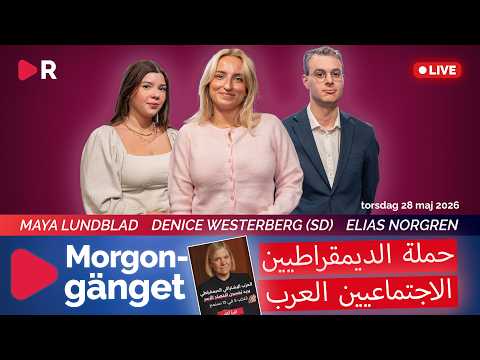 Morgongänget: Kommer invandrare vinna valet åt Socialdemokraterna? thumbnail