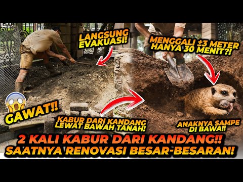 INI AKHIR DARI PROYEK MEERKAT! BISA MENGGALI 3 METER HANYA DALAM 30 MENIT? thumbnail