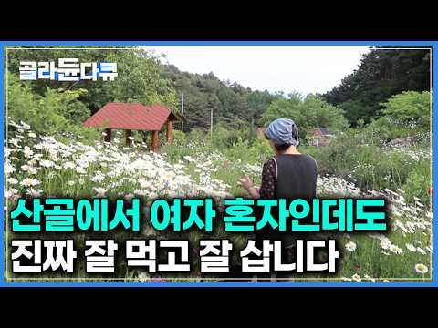 네발 달린 짐승도 두발 걷는 사람도 안 무섭다｜산골에 6평짜리 오두막 짓고 혼자 살아가는 여자｜한국기행｜#골라듄다큐 thumbnail