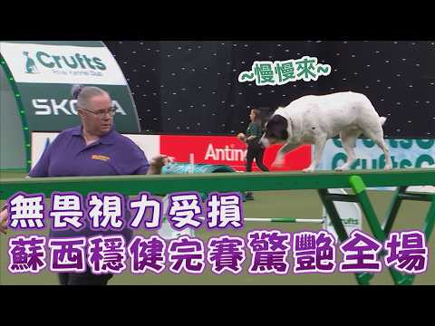 無畏視力受損 蘇西穩健完賽驚艷全場/愛爾達電視20260522 thumbnail