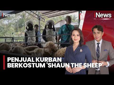 Viral! Penjual Kurban Berkostum 'Shaun The Sheep' dan Gratis Kulineran di Boyolali |iNews Today 19/5 thumbnail