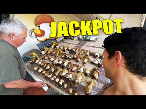 Nel bosco di notte a cercare funghi con mio babbo in Toscana thumbnail