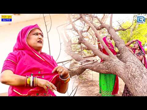 सास बहू का खास पेड़ गिर गया - New Marwadi Comedy 2026 | Saas Bahu Funny Comedy | Saas Ki Modern Bahu thumbnail