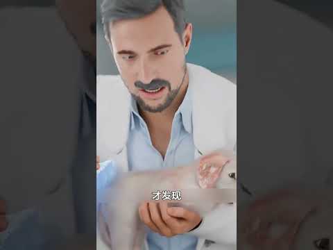 他们从出生便身体残疾遭到主人抛弃，所幸的到了众多好心人    的帮助活了下来！ thumbnail