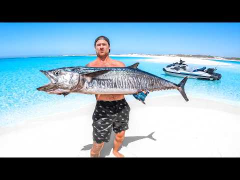 Giant Mackerel Catch And Cook On Tiger Shark Beach thumbnail