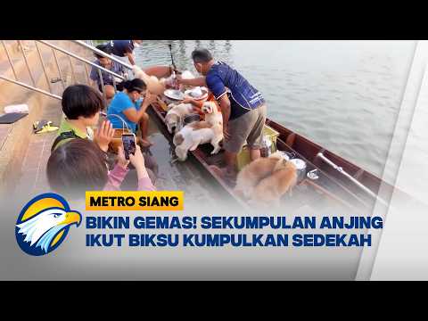 Bikin Gemas! Biksu Kumpulkan Sedekah dengan Anjing [Metro Siang] thumbnail