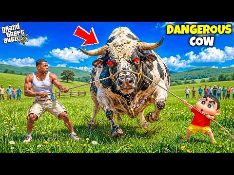 Franklin & Shinchan Rescue MOST DANGEROUS Qurbani Cow😱 Most Shocking Life Story thumbnail