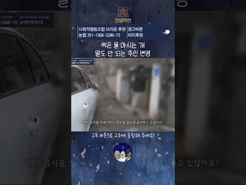 썩은 물 마시는 개 말도 안 되는 주인 변명 thumbnail