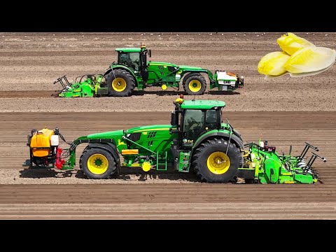 Ridging Beds and Sowing Endive / Chicory | 2x John Deere 6155R Trike Tractors | Loonbedrijf SvZ thumbnail
