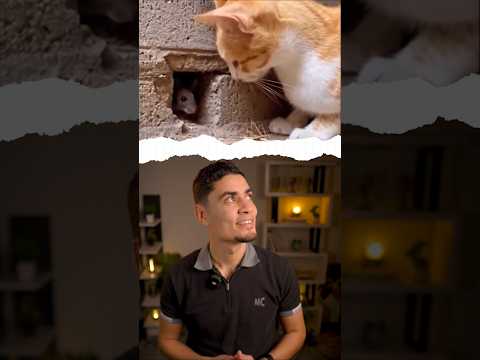 كائن سرعته مخيفة! thumbnail