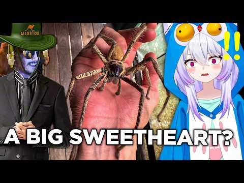 I WAS NOT PREPARED FOR THIS... - VTuber Reacts to MoreParz for the First Time! thumbnail