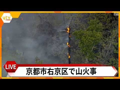 【LIVE】京都市右京区で山火事　消火活動中 thumbnail