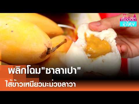 "ของอร่อยเมืองพิจิตร" พลิกโฉมซาลาเปา ใส่ไส้ข้าวเหนียวมะม่วง | เรื่องดีดีทั่วไทย | 17-5-69 thumbnail