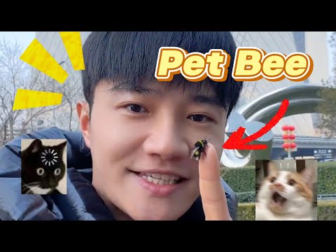 Let bees be my travel companions. thumbnail