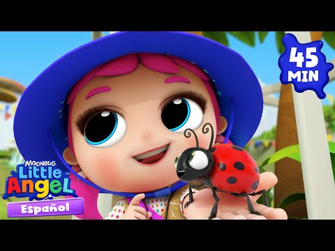 A Sofi le gustan los insectos 🐞🐜🐛  Canciones Infantiles 🎵 Little Angel Español thumbnail