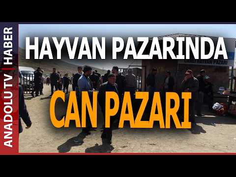 HAYVAN PAZARINDA SİLAHLI KAVGA: 1 ÖLÜ, 13 YARALI thumbnail