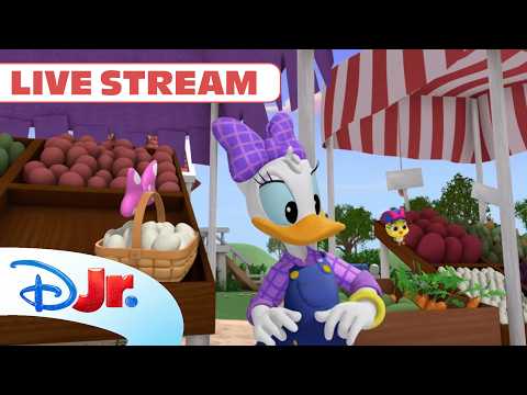 🎒Przygoda z plecakami | Miki i Raźni Rajdowcy + Klub Przyjaciół Myszki Miki+ | Disney Junior Polska thumbnail