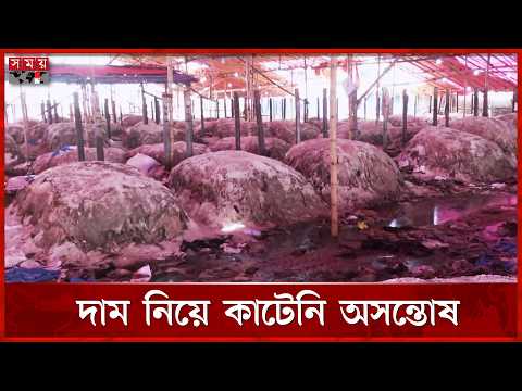 দেশের বিভিন্ন প্রান্ত থেকে আসা চামড়া ঢুকছে আড়তে | Leather Collection News | Somoy TV thumbnail