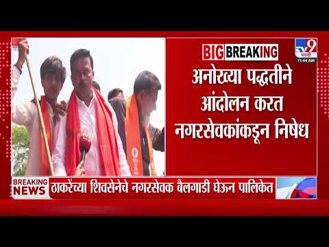 Chhatrapati Sambhajinagar Bailgadi Morcha | अनोख्या पद्धतीनं आंदोलन करत नगरसेवकांकडून निषेध thumbnail