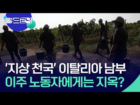 이주노동자 살해 사건이 드러낸 ‘착취’ [월드24/뉴스의 2면] / KBS  2026.06.04. thumbnail