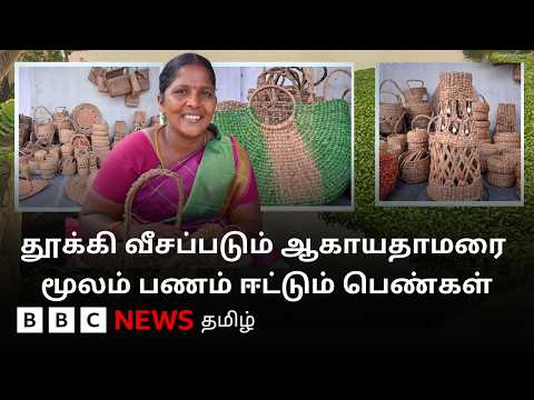 Waste-ஆக கருதப்படும் இந்த ஆகாய தாமரை பெண்களின் வருமானத்துக்கு உதவுகிறது.. எப்படி தெரியுமா? thumbnail