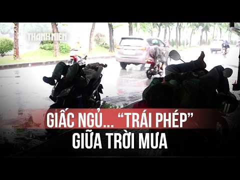 Cảnh tượng khó tin dưới gầm cầu ở TP.HCM: Người ngủ, người trú mưa sát làn xe chạy thumbnail